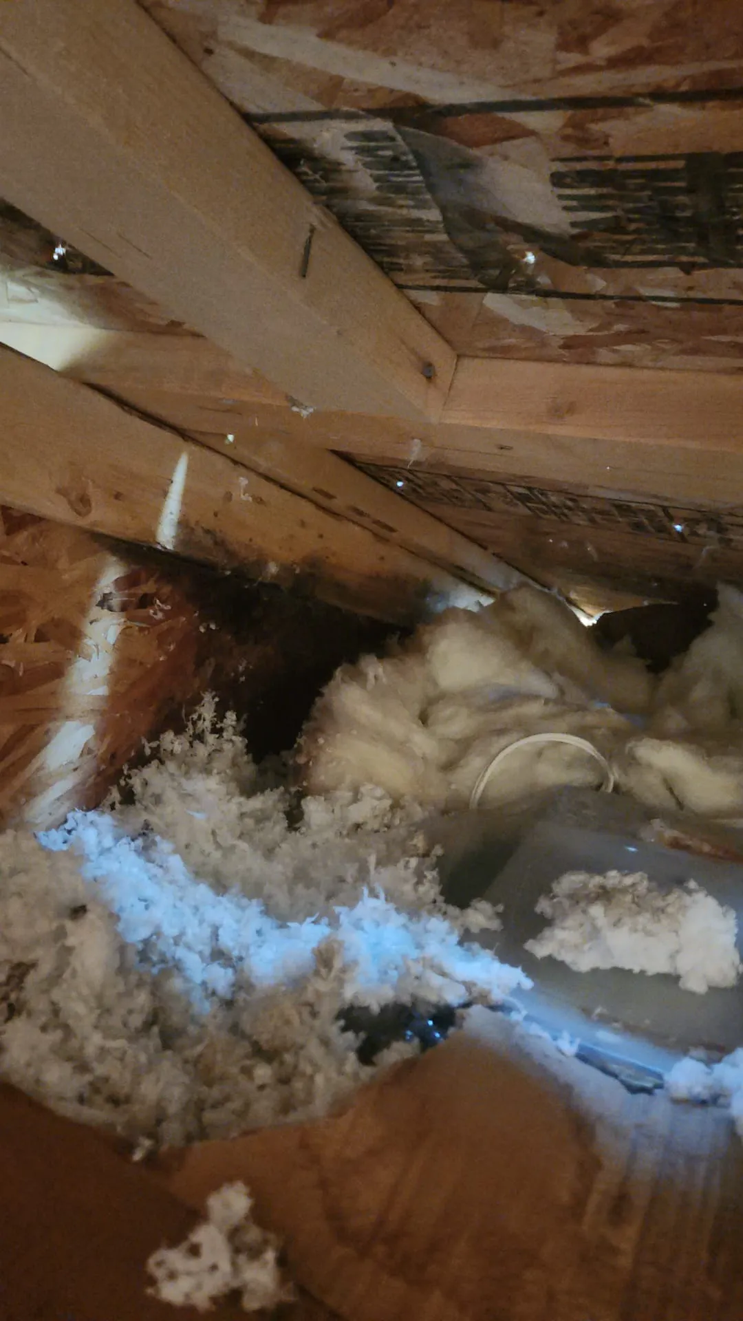 Attic insulation showing moisture damage