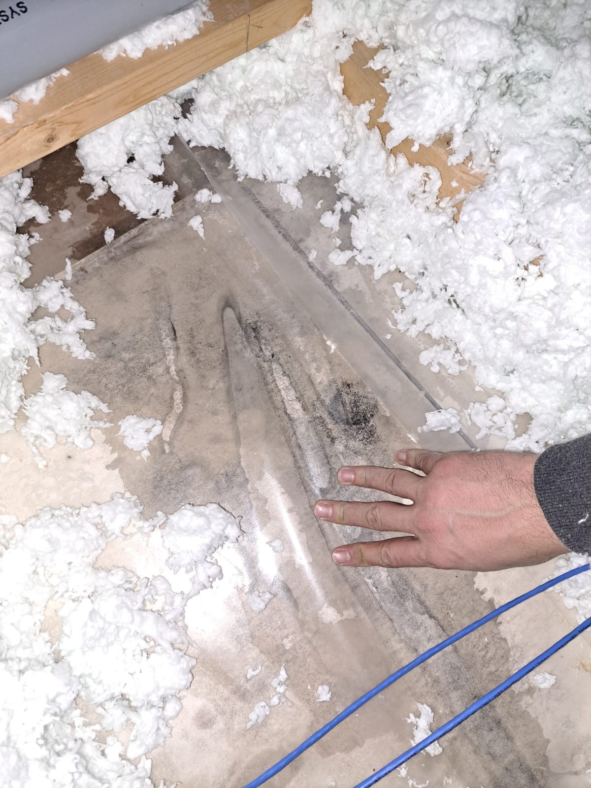 Attic Rain Repair