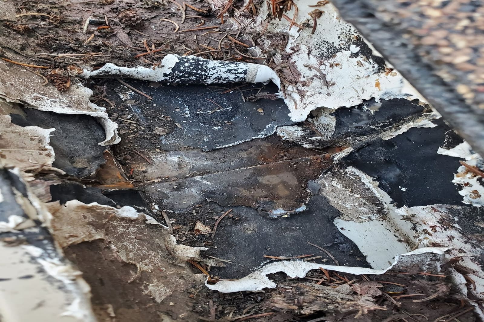 Roof Repair